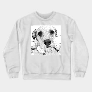 Seymour Cute Dog Crewneck Sweatshirt